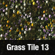 Grass Tile Texture 13 - 3DOcean Item for Sale
