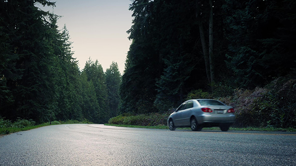 Car And Pickup Pass On Forest Road