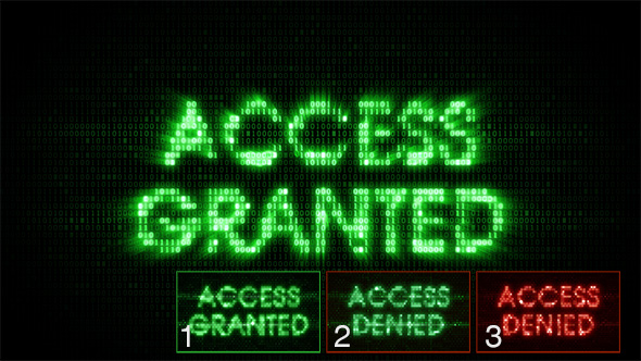 Words Access Granted and Access Denied Consisting of Binary Code