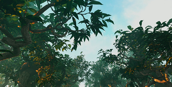 Movement Among Trees alt