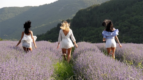 Running in Lavender Field