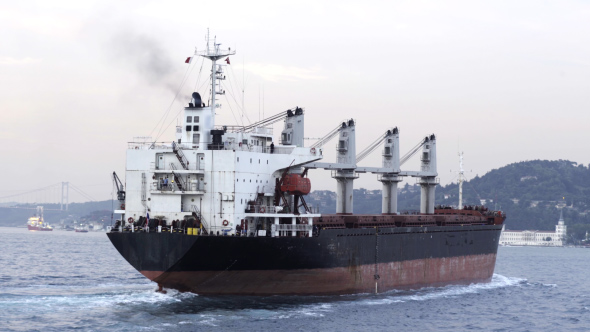 Cargo Bulk Vessel alt