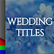 Wedding Titles - VideoHive Item for Sale