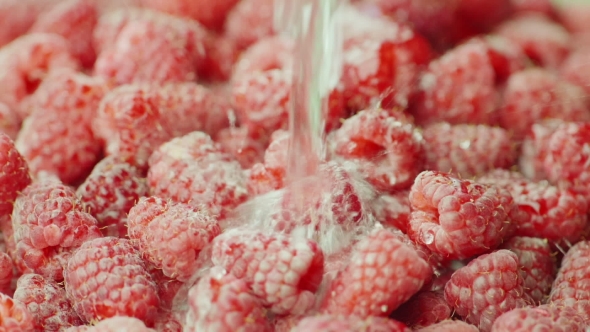 A Stream of Water Pours on the Red Fresh Raspberries