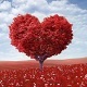 Emotional and Hopeful Pack