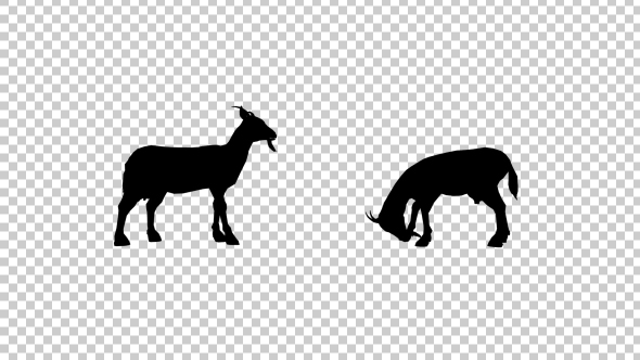 Goats Silhouette alt