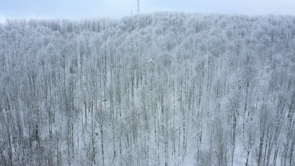 Mountains Hill In The Winter With Snow Covered Trees 5