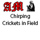 Chirping Crickets in Field