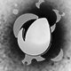Train Graffiti - Noir Logo Reveal - VideoHive Item for Sale