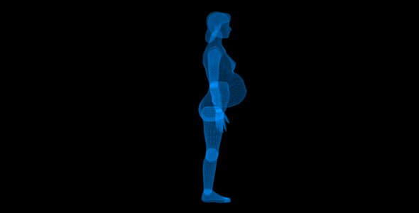 Pregnant X-Ray Artificial Intelligence