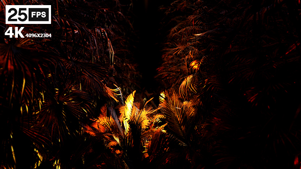 Jungle Palms 03 4K alt