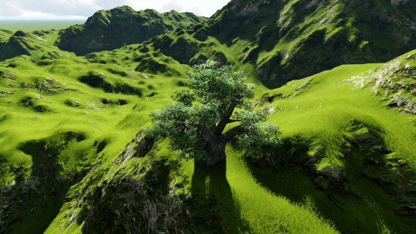 Mountains and Tree