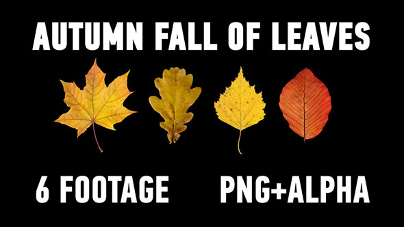 The Autumn Fall of Leaves Pack alt