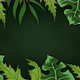 Tropical Bg 01 - VideoHive Item for Sale