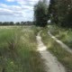 Road Near the Field and Forest on a Summer Day - VideoHive Item for Sale
