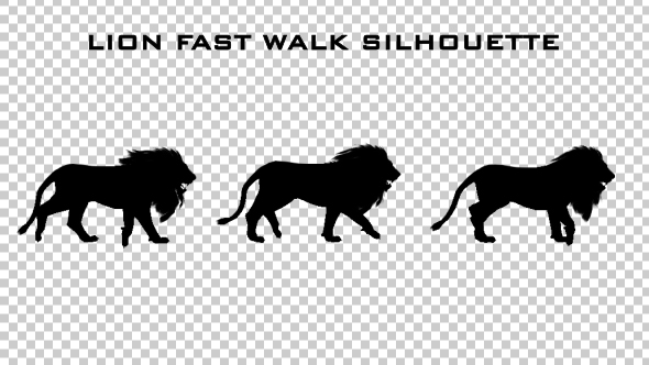 Lion Fast Walk Silhouette Animation