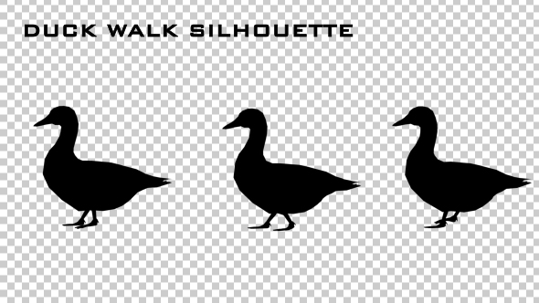 Duck Walk Silhouette Animation