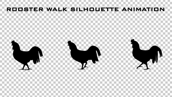 Rooster Walk Silhouette Animation alt
