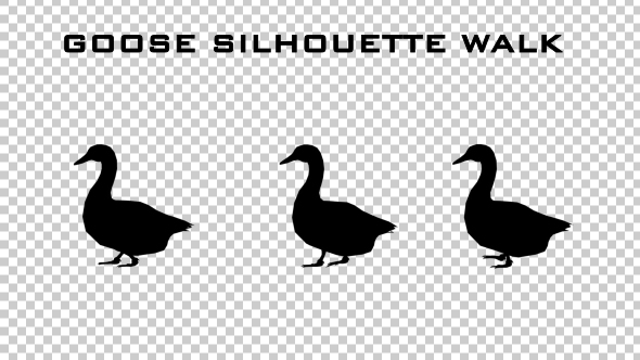 Goose Silhouette Walk Animation