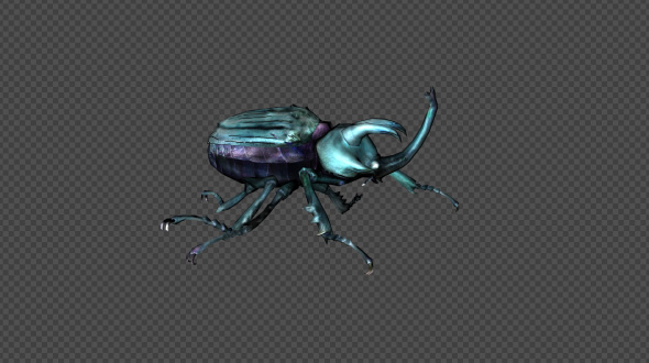 Blue GiantBeetle Run Pack 4 In 1