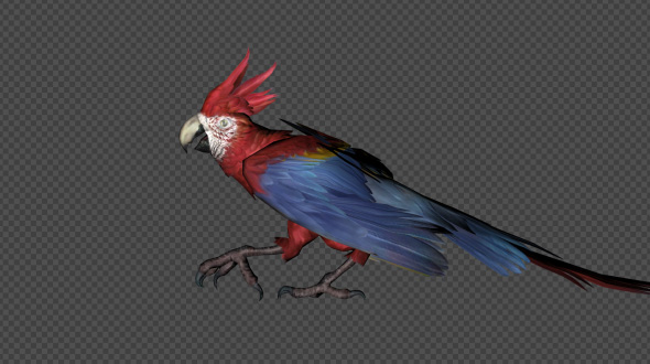 Parrot Fly Idle Pack03 4 In 1 alt