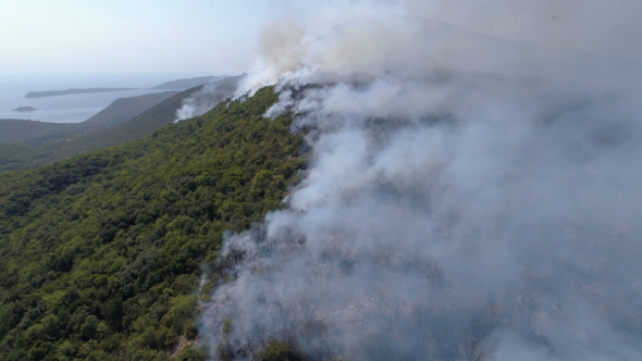 Aerial View of Burning Bushes in the Hills