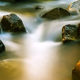 Woodland Stream 2