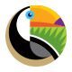 Toucan Logo Template - GraphicRiver Item for Sale