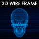 Human Skull 3D Wireframe - VideoHive Item for Sale