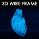Human Heart 3D Wireframe - VideoHive Item for Sale