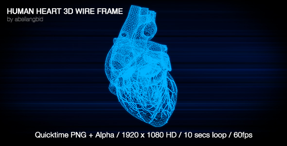 Human Heart 3D Wireframe