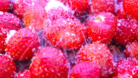 Sugar Is Poured Onto the Strawberry