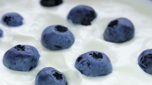 Blueberries in Natural Yogurt Rotating. Seamless Looping, . Fruit Background.
