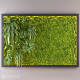Fito wall with moss - 3DOcean Item for Sale