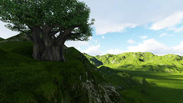 Tree and Landscape alt