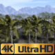 Animation Pack Of Palm Trees - VideoHive Item for Sale