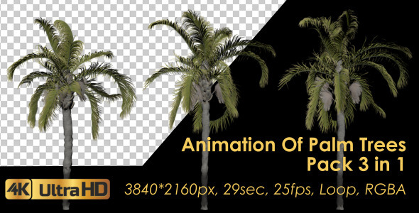 Animation Pack Of Palm Trees