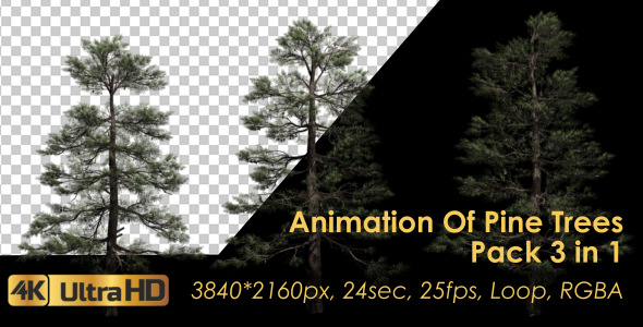 Animation Pack Of Pine Trees