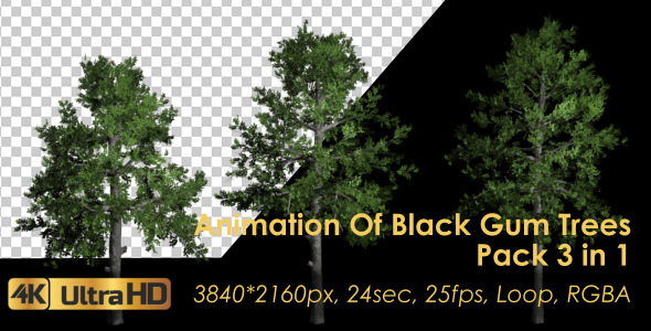 Animation Pack Of Black Gum Trees