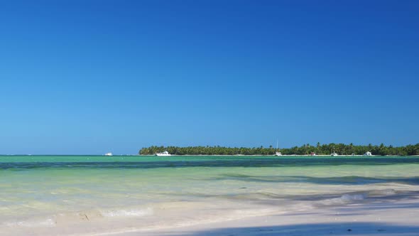 Coconut Palm Tree on Tropical Beach