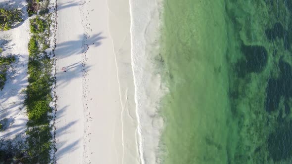 Vertical Video of the Beach on Zanzibar Island Tanzania Aerial View