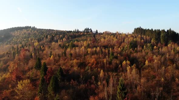 Scenic panoramic Autumn landscape. Bright trees on mountain slope