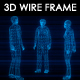 6 People N2 3D Wireframe Animation - VideoHive Item for Sale