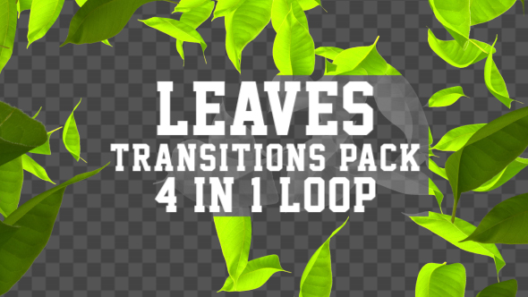 4K Leaves Transition Pack 4 in 1 alt
