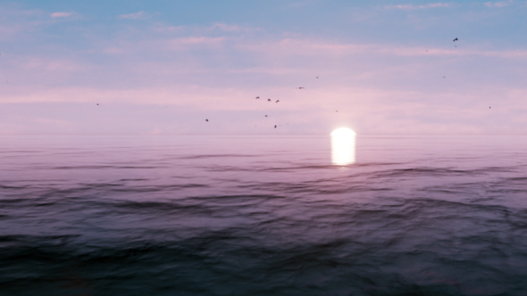 VR 360 Degree Panorama - Ocean Sunset - Seagulls