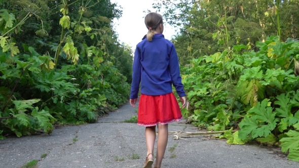 Girl Goes Along Abandoned Road Overgrown by Hogweed