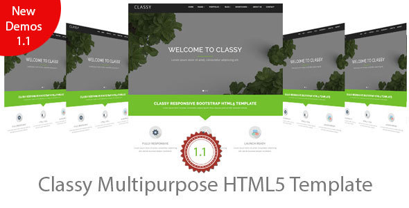 Classy Multipurpose HTML5 Template