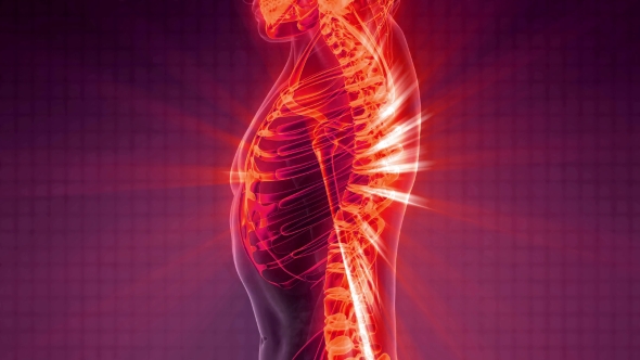 Human Body with Visible Skeletal Bones alt