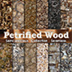 Petrified Wood - 3DOcean Item for Sale