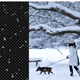 Snow Fall - VideoHive Item for Sale
